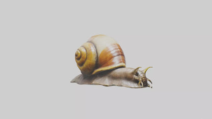 Giant Land Snail statue model VR / AR / low-poly