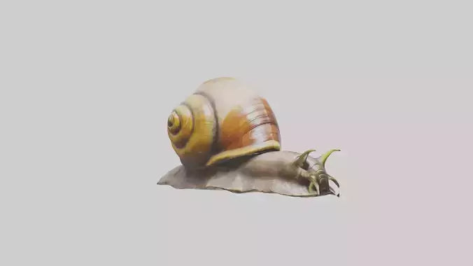 Giant Land Snail statue model VR / AR / low-poly