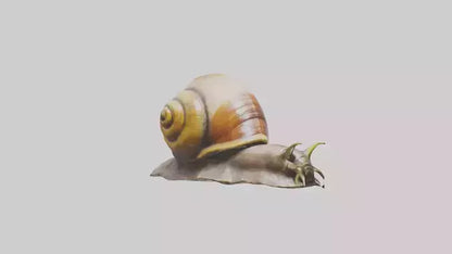 Giant Land Snail statue model VR / AR / low-poly