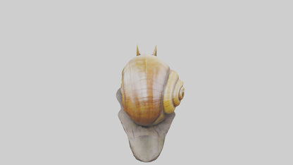 Giant Land Snail statue model VR / AR / low-poly