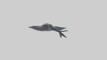 3D model Giant Manta Ray gliding model VR / AR / low-poly
