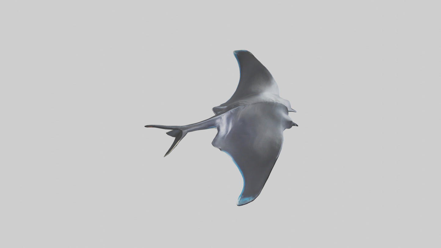 3D model Giant Manta Ray gliding model VR / AR / low-poly