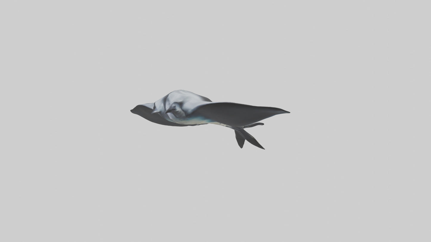 3D model Giant Manta Ray gliding model VR / AR / low-poly