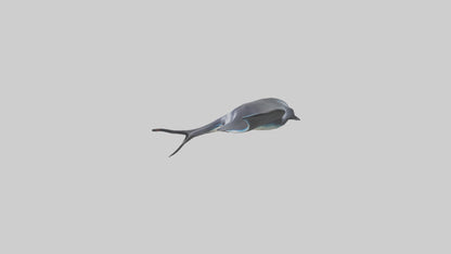 3D model Giant Manta Ray gliding model VR / AR / low-poly
