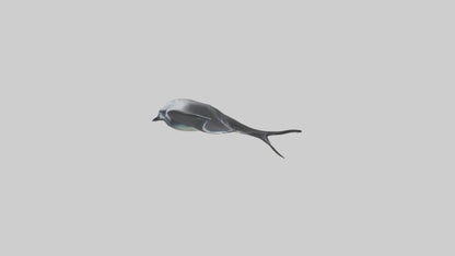3D model Giant Manta Ray gliding model VR / AR / low-poly