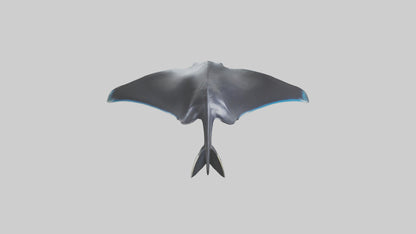 3D model Giant Manta Ray gliding model VR / AR / low-poly