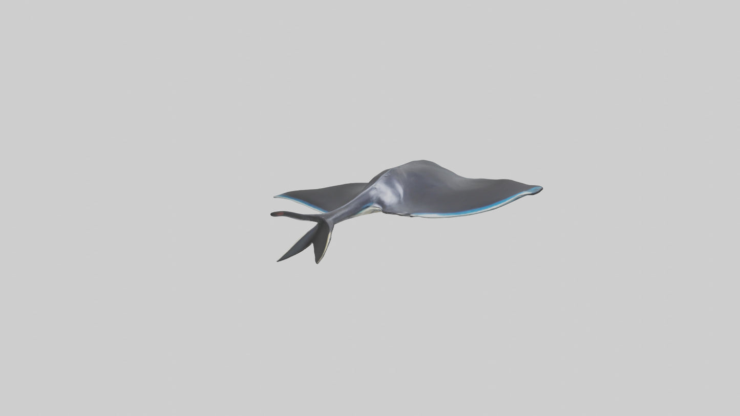 3D model Giant Manta Ray gliding model VR / AR / low-poly