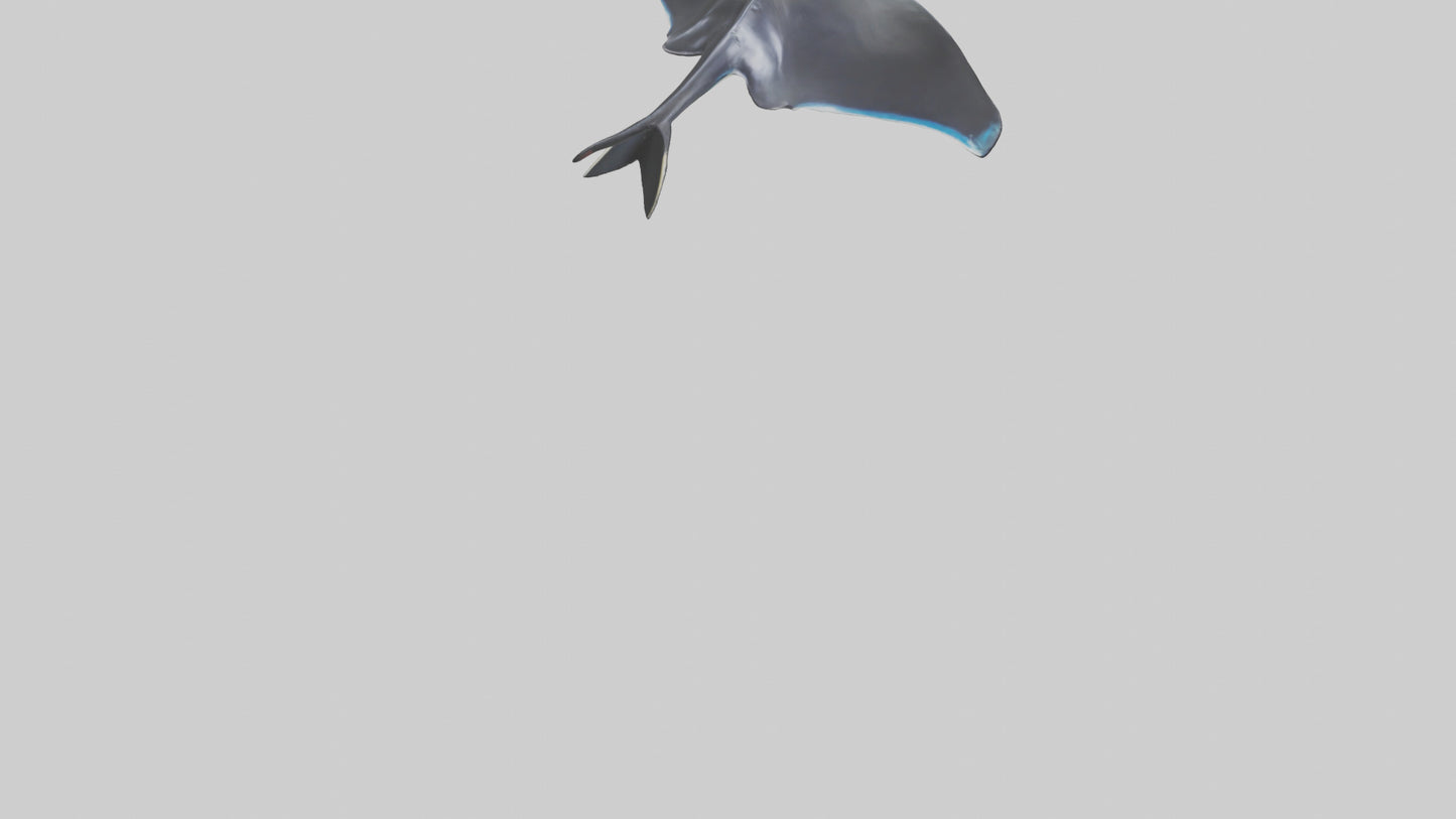 3D model Giant Manta Ray gliding model VR / AR / low-poly