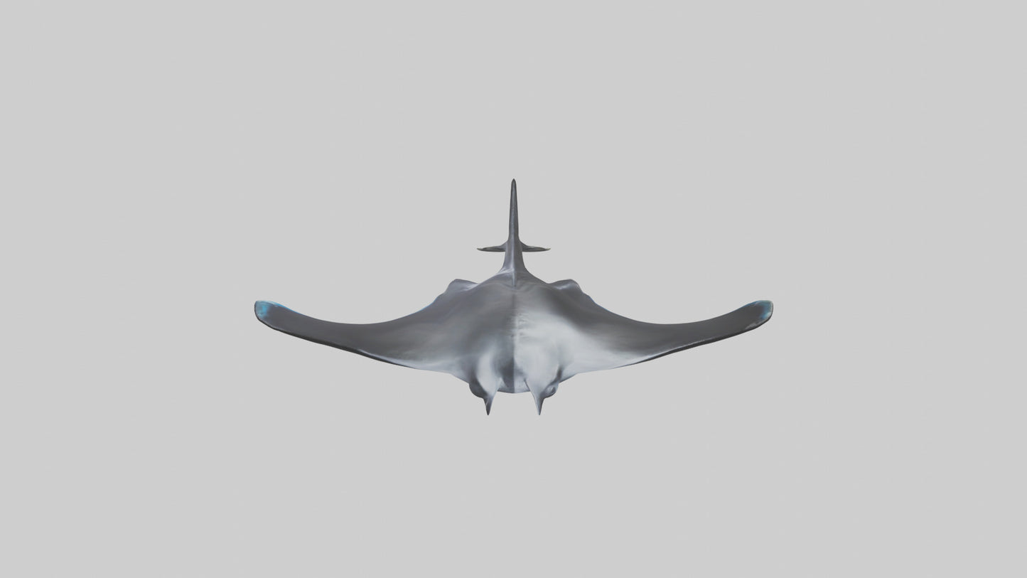 3D model Giant Manta Ray gliding model VR / AR / low-poly