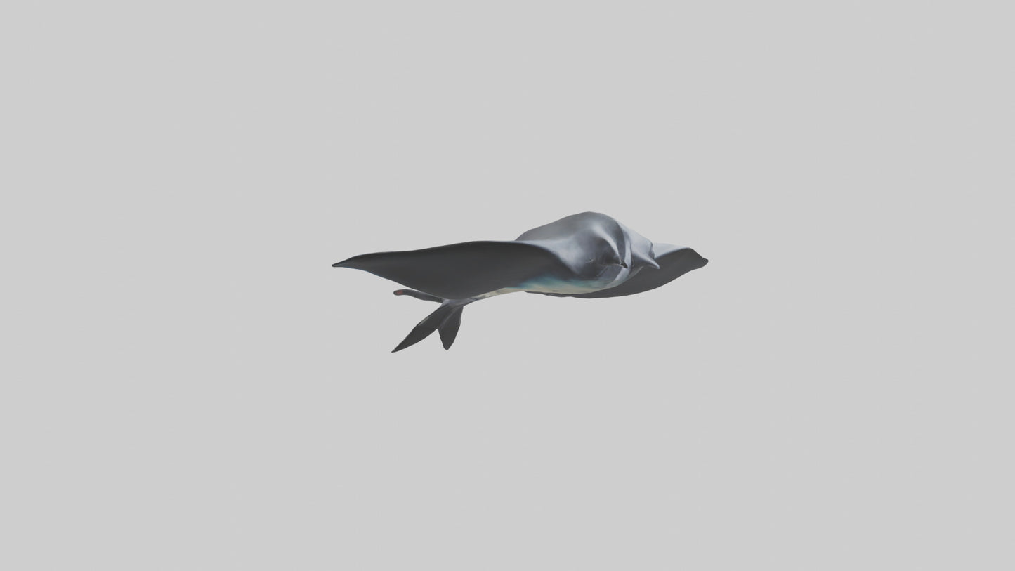 3D model Giant Manta Ray gliding model VR / AR / low-poly