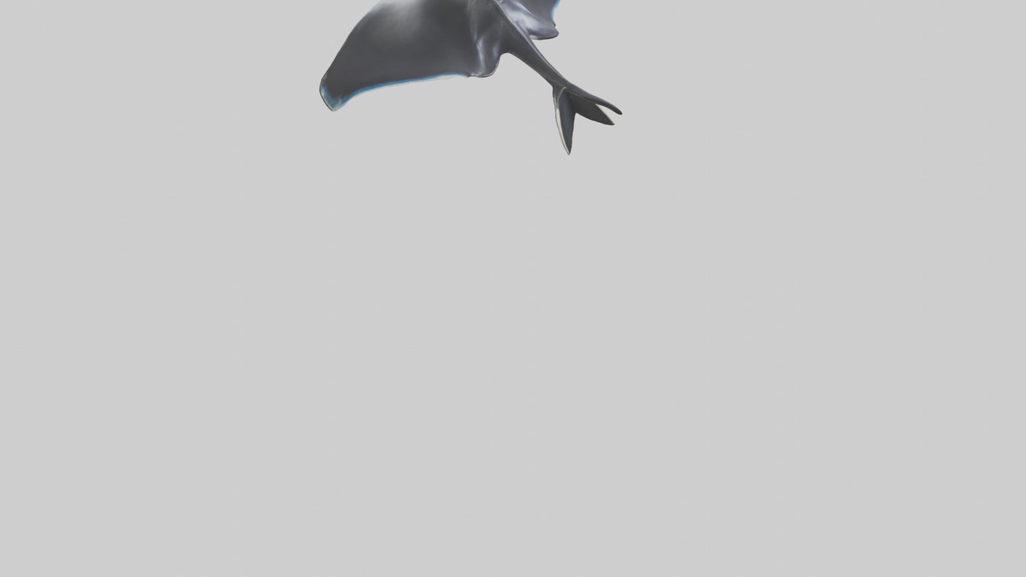 3D model Giant Manta Ray gliding model VR / AR / low-poly
