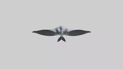 3D model Giant Manta Ray gliding model VR / AR / low-poly