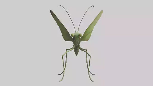 3D model Giant Mantis model VR / AR / low-poly