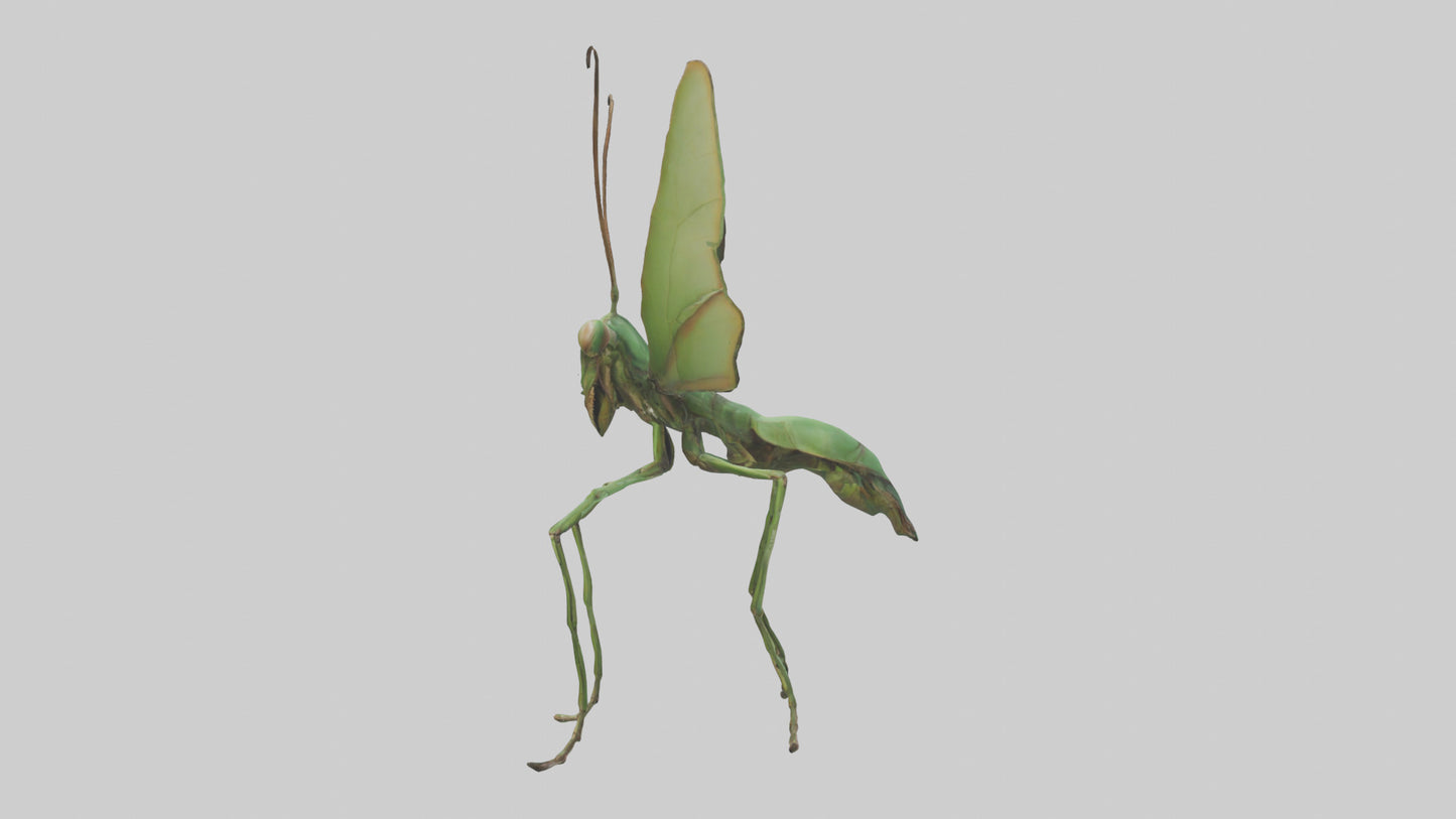3D model Giant Mantis model VR / AR / low-poly