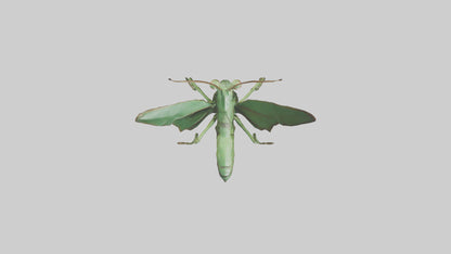 3D model Giant Mantis model VR / AR / low-poly
