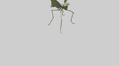 3D model Giant Mantis model VR / AR / low-poly