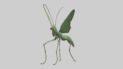 3D model Giant Mantis model VR / AR / low-poly