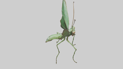3D model Giant Mantis model VR / AR / low-poly