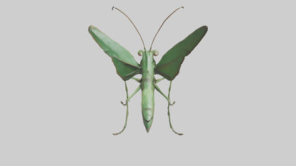 3D model Giant Mantis model VR / AR / low-poly