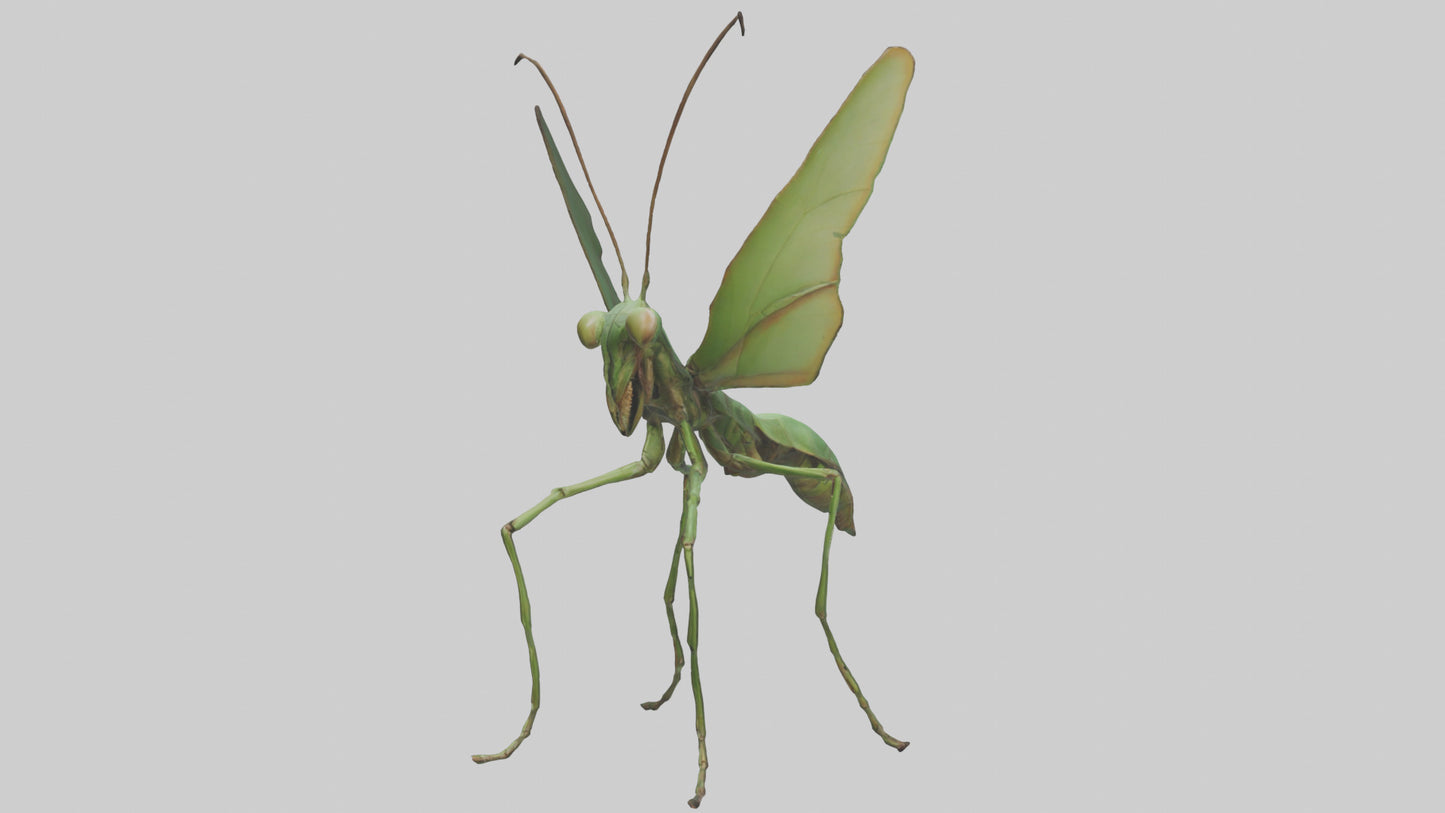 3D model Giant Mantis model VR / AR / low-poly