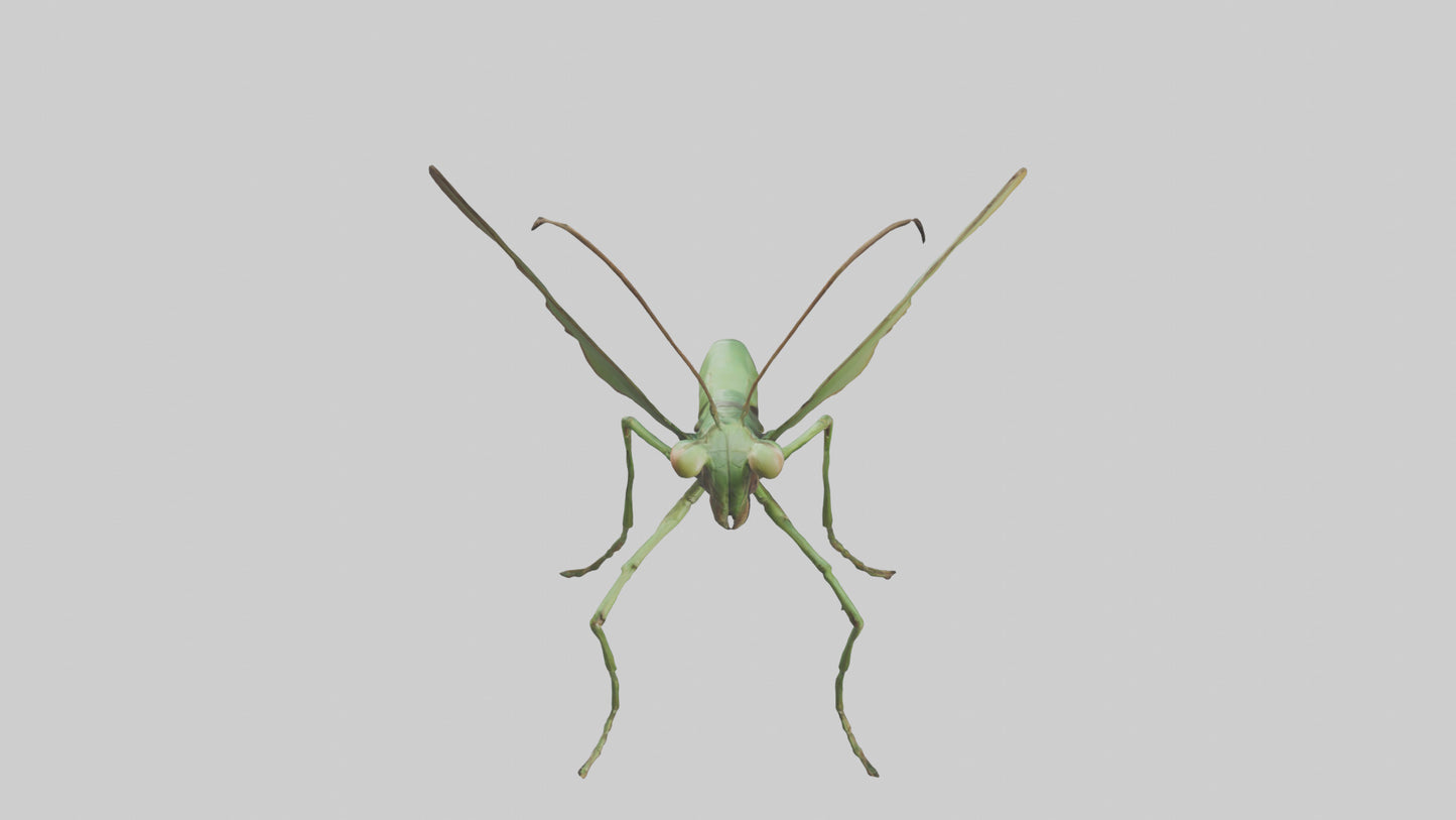 3D model Giant Mantis model VR / AR / low-poly