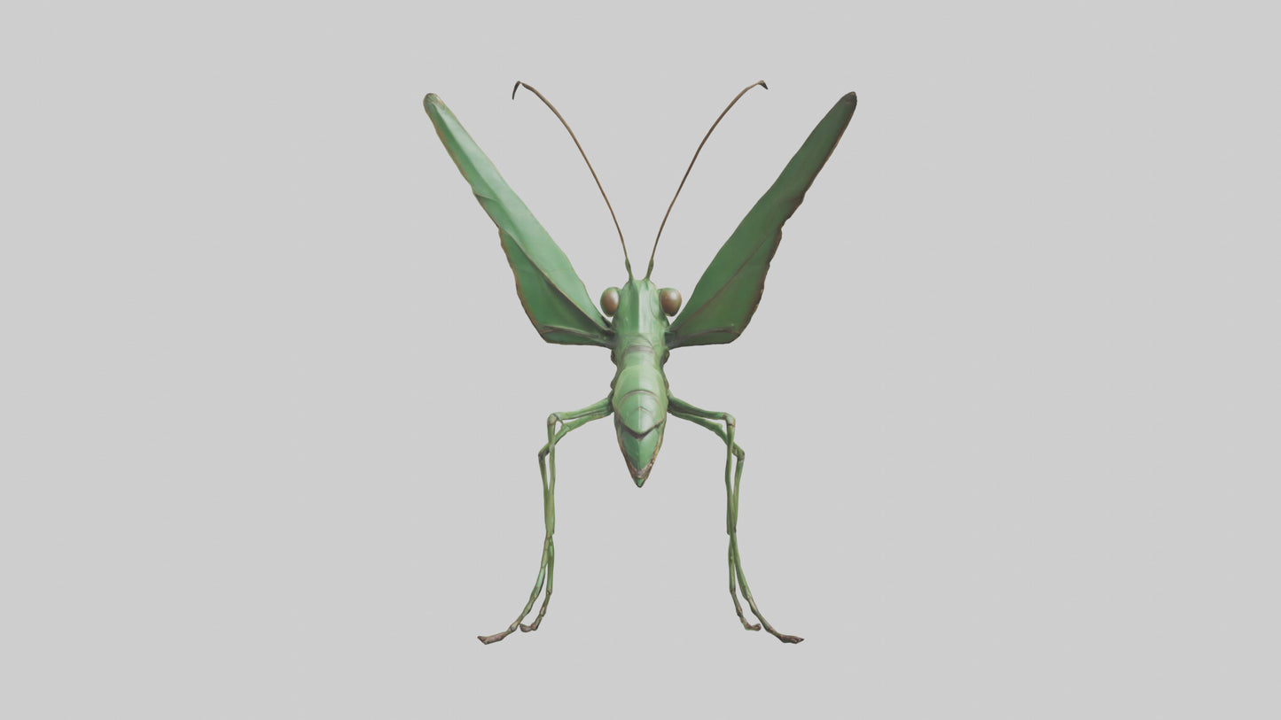 3D model Giant Mantis model VR / AR / low-poly