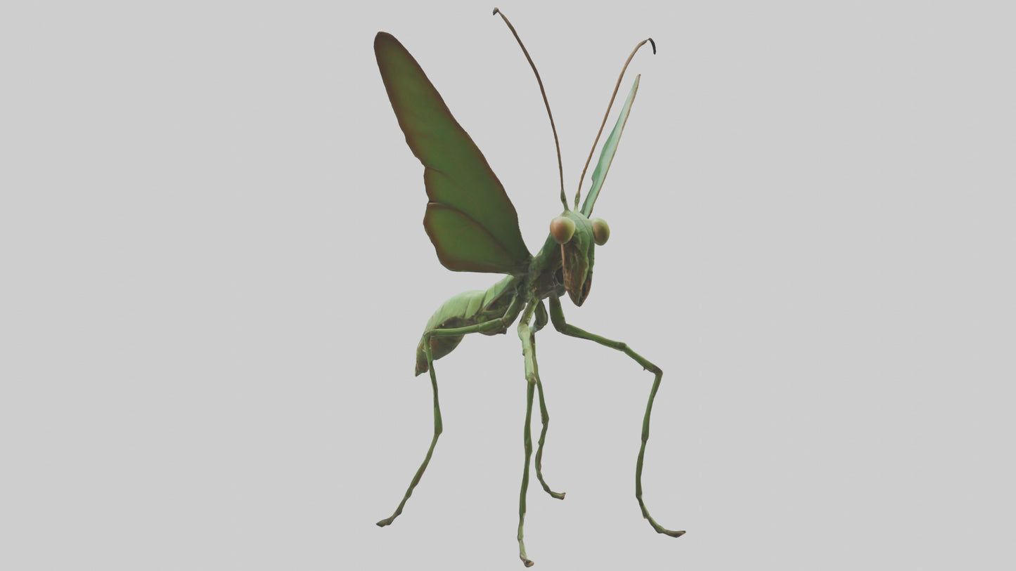 3D model Giant Mantis model VR / AR / low-poly