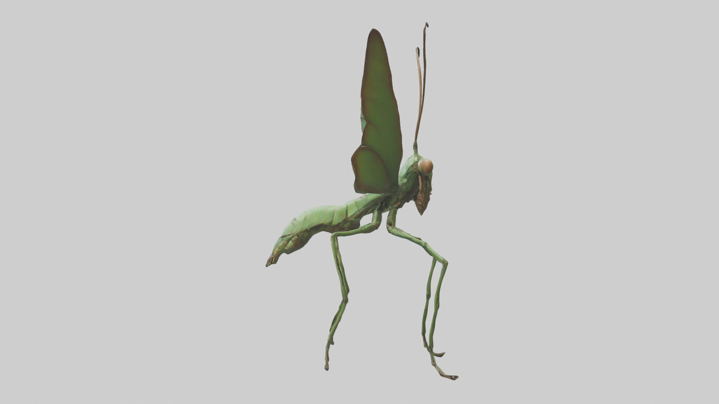 3D model Giant Mantis model VR / AR / low-poly
