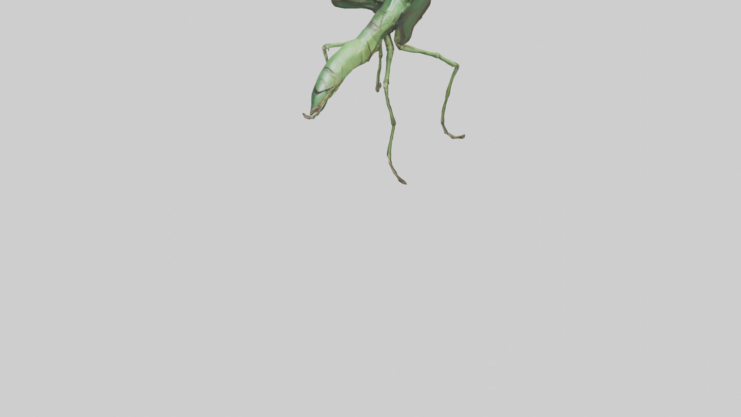 3D model Giant Mantis model VR / AR / low-poly