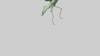 3D model Giant Mantis model VR / AR / low-poly
