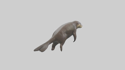 Giant Otter swimming model VR / AR / low-poly
