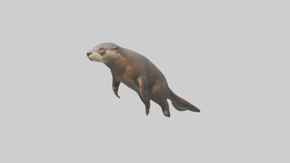 Giant Otter swimming model VR / AR / low-poly