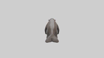 Giant Otter swimming model VR / AR / low-poly
