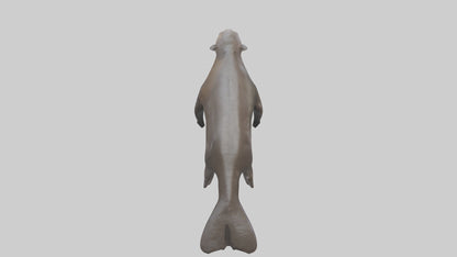 Giant Otter swimming model VR / AR / low-poly