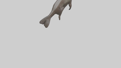 Giant Otter swimming model VR / AR / low-poly