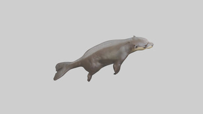 Giant Otter swimming model VR / AR / low-poly