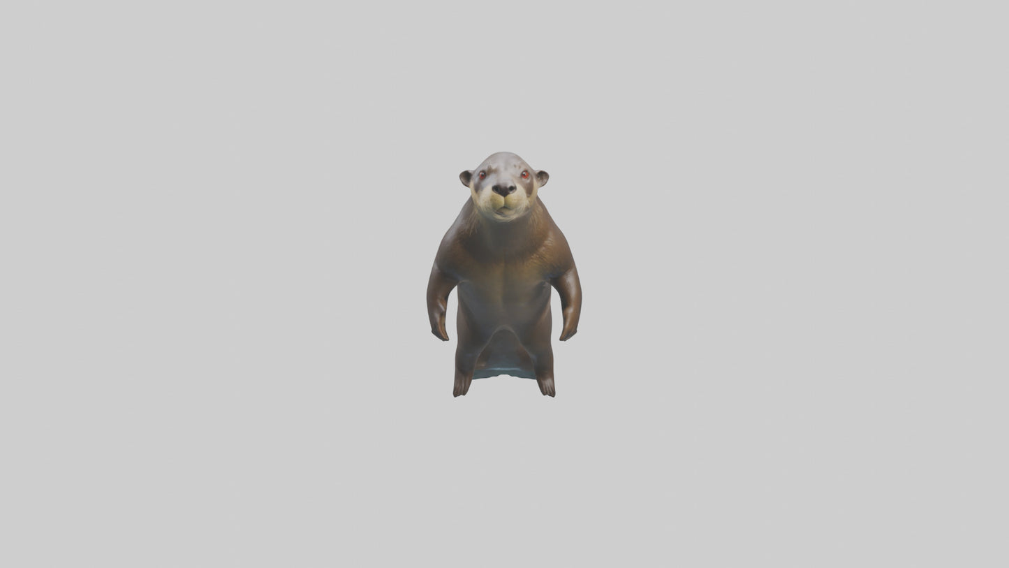 Giant Otter swimming model VR / AR / low-poly