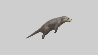Giant Otter swimming model VR / AR / low-poly