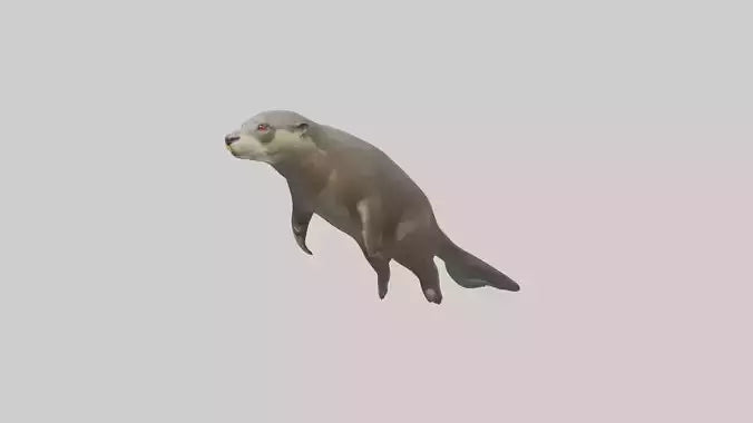 Giant Otter swimming model VR / AR / low-poly