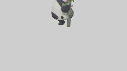 3D model Giant Panda climbing model VR / AR / low-poly