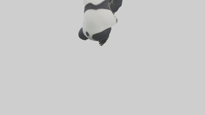 3D model Giant Panda climbing model VR / AR / low-poly