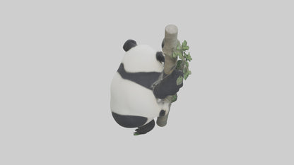 3D model Giant Panda climbing model VR / AR / low-poly