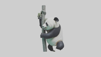3D model Giant Panda climbing model VR / AR / low-poly