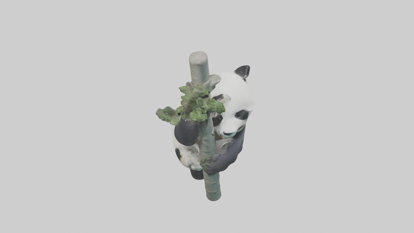 3D model Giant Panda climbing model VR / AR / low-poly