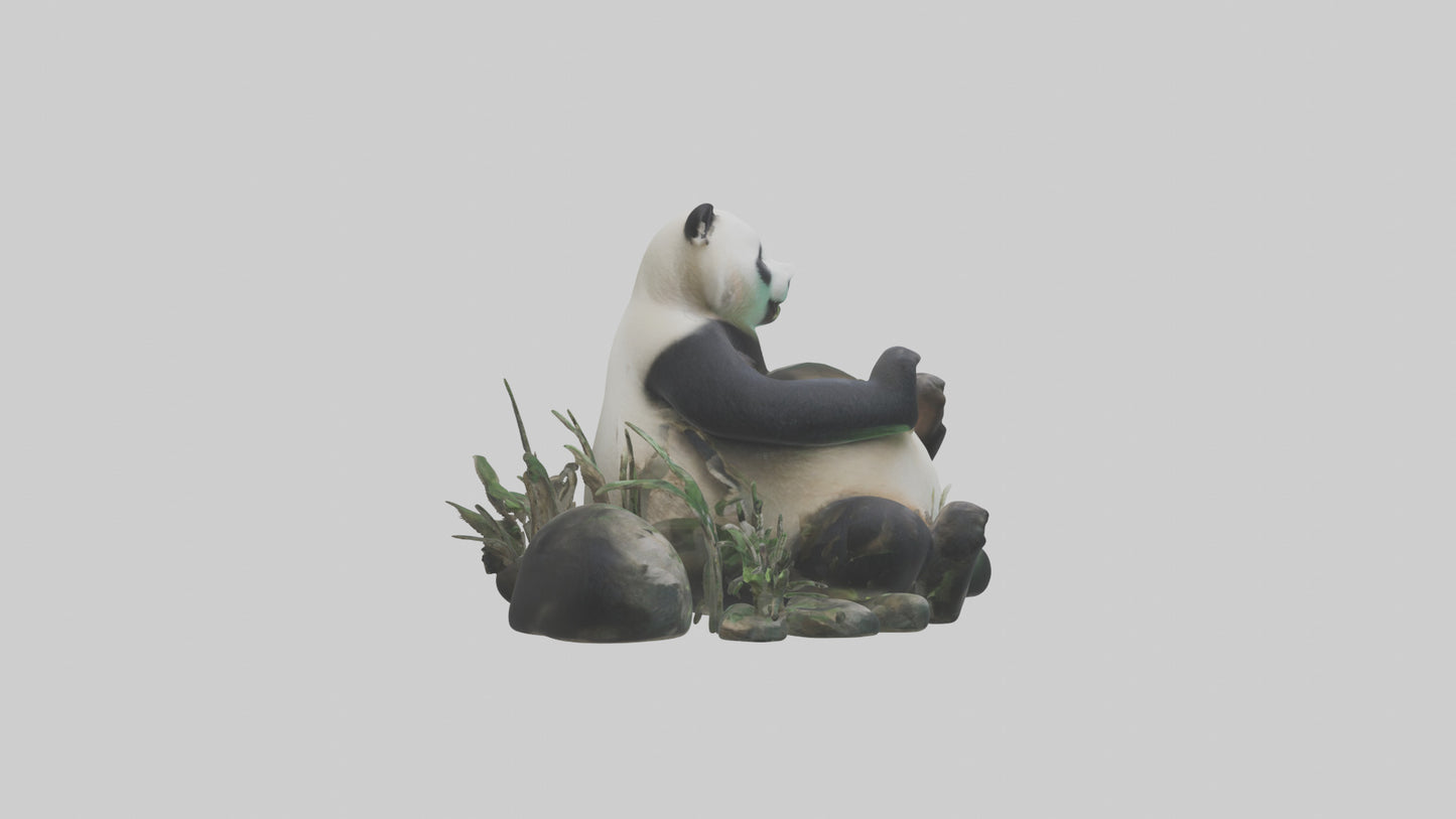 Giant Panda playing model VR / AR / low-poly