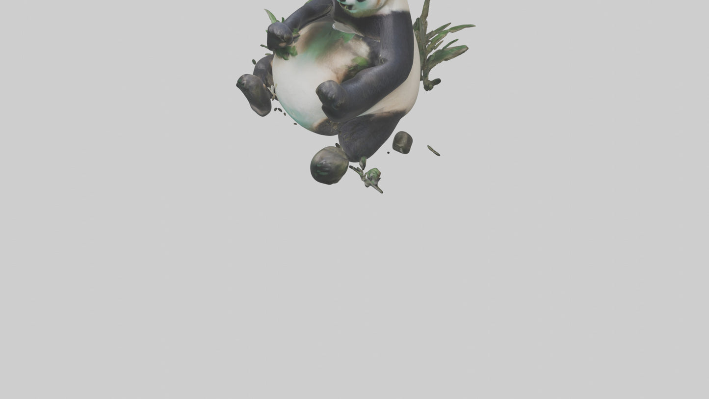Giant Panda playing model VR / AR / low-poly