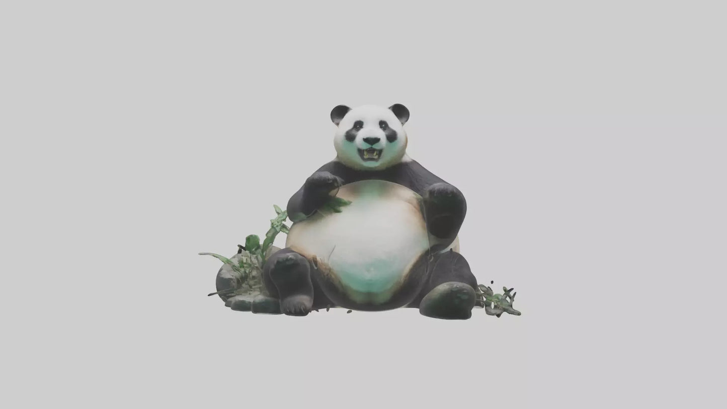 Giant Panda playing model VR / AR / low-poly