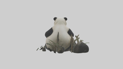Giant Panda playing model VR / AR / low-poly