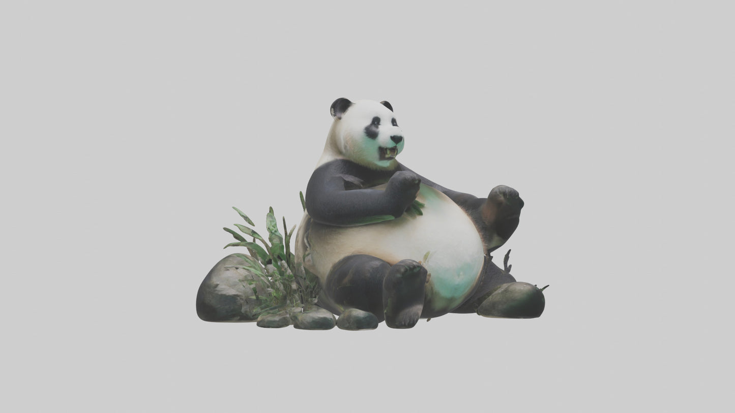 Giant Panda playing model VR / AR / low-poly