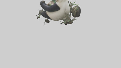 Giant Panda playing model VR / AR / low-poly